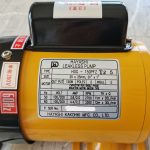 HAYASHI KAKOHKI HDG-150PFZ T25 LEAKLESS PUMP